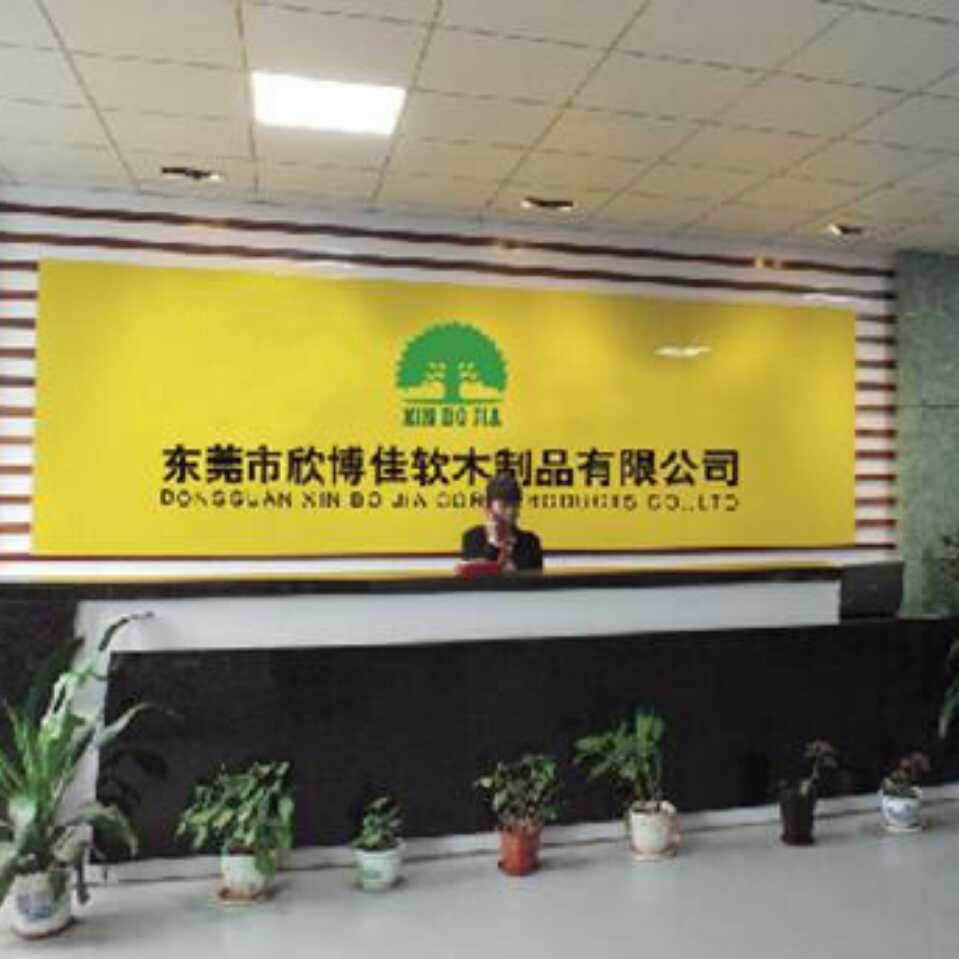 公司介绍